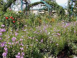 gardenmuseum (18).jpg